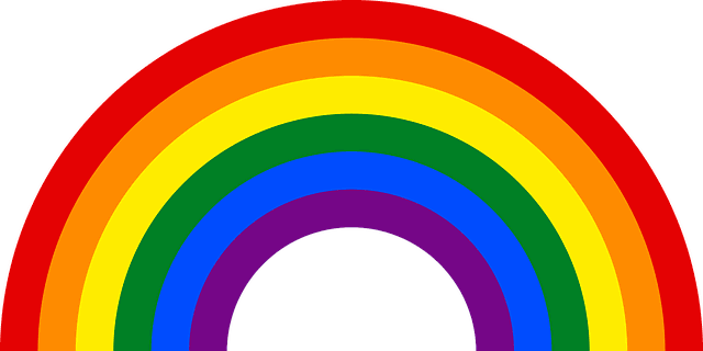 Comprendre la communauté LGBTQ+ : histoire, défis et avancées